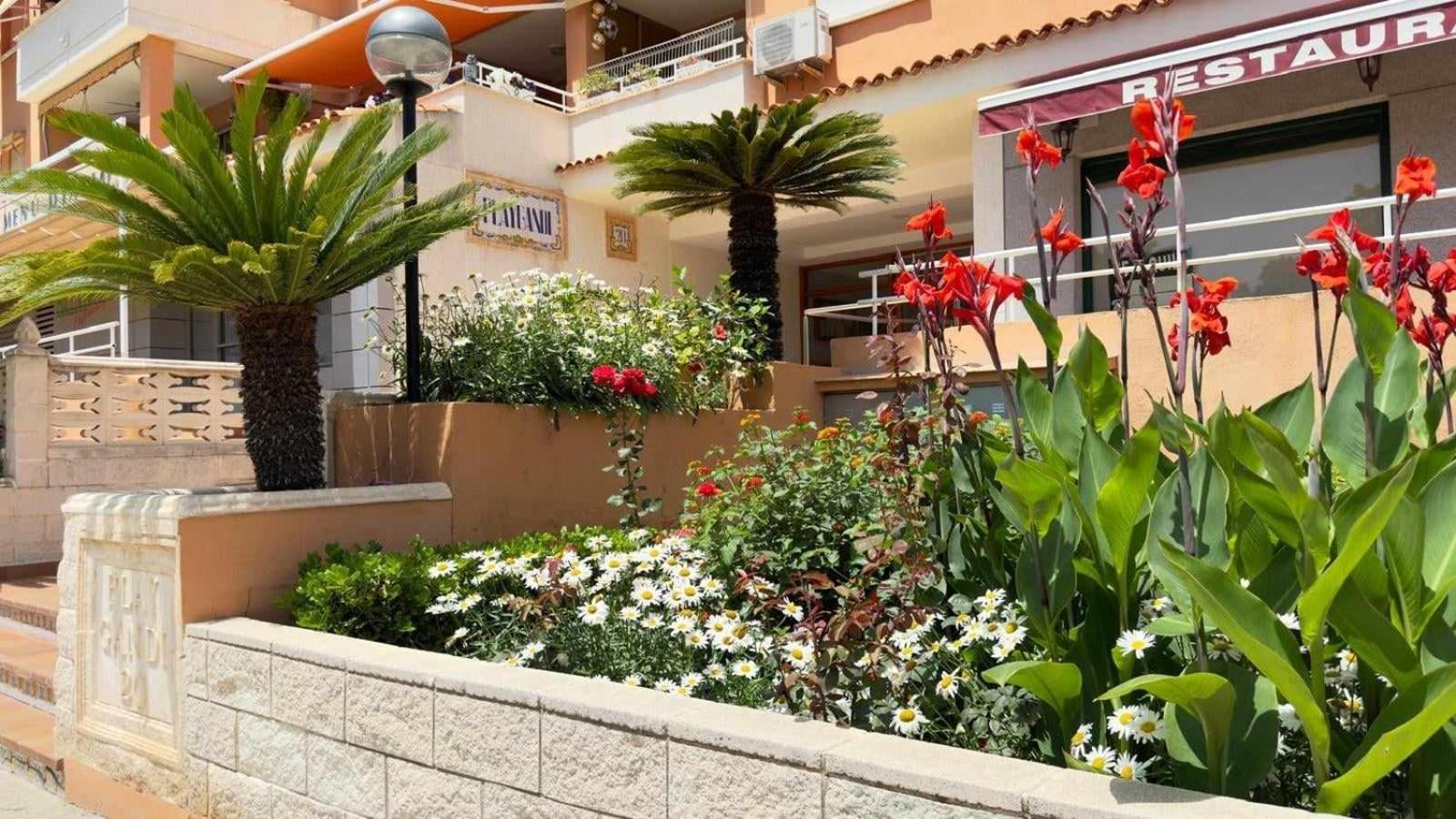 Apartamento Paradise Solo Familias Gandía Exterior photo