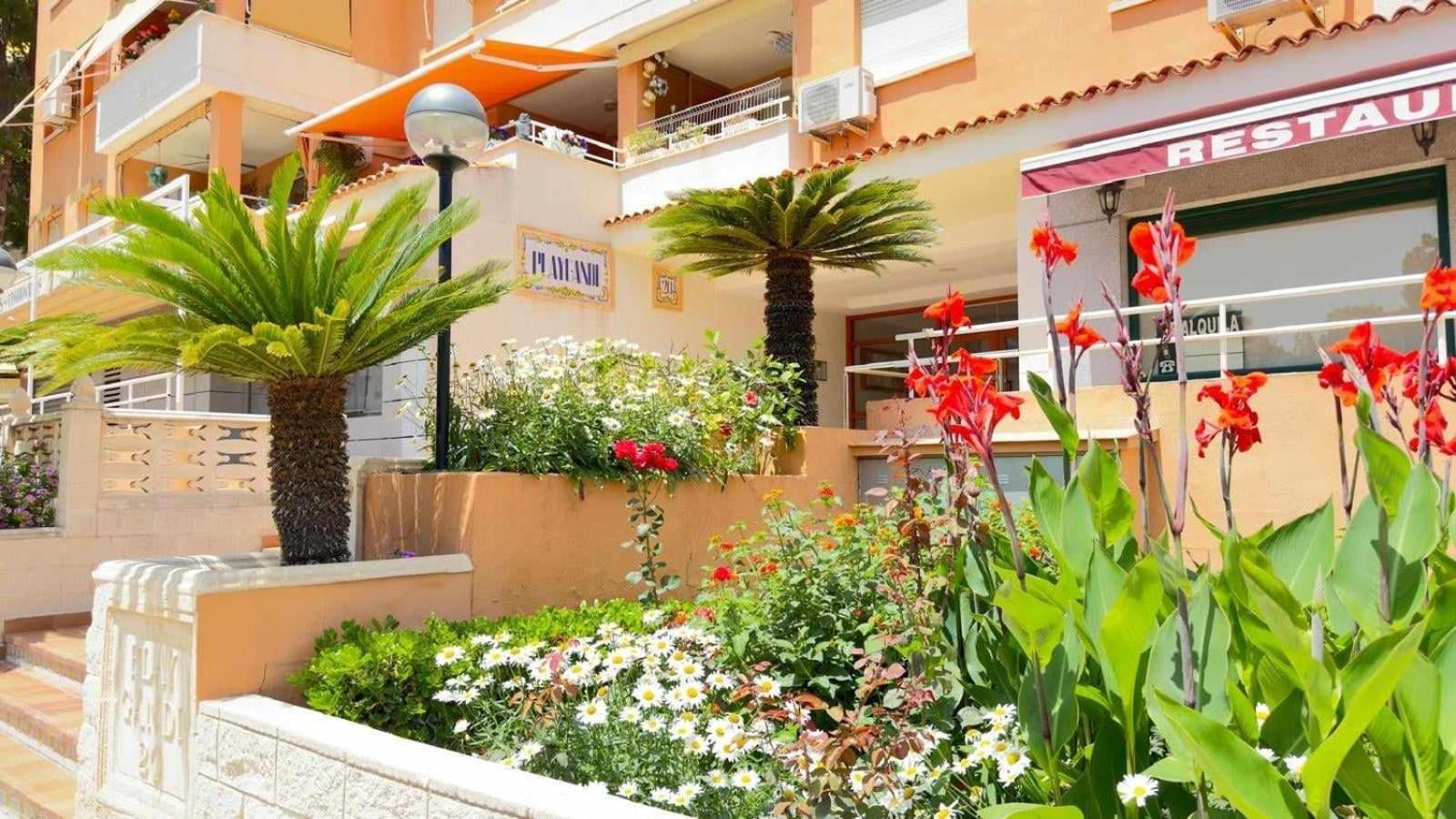 Apartamento Paradise Solo Familias Gandía Exterior photo