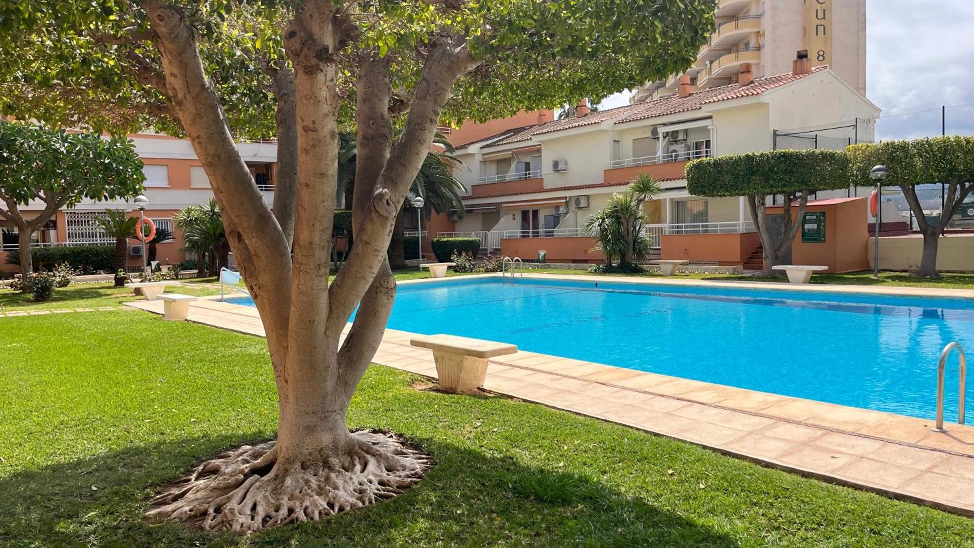 Apartamento Paradise Solo Familias Gandía Exterior photo